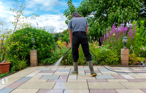 Best Pre-Holiday Cleaning  in Jonesville, MI